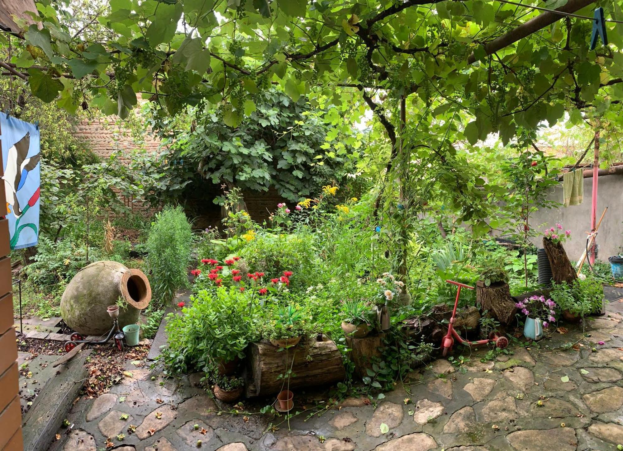 Sofya Hostel Sighnaghi Εξωτερικό φωτογραφία